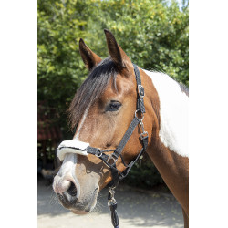 Licol Safe Control Style HKM Noir