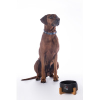 Gamelle pour chien Buddy céramique HKM Noir Gamelle pour chien Buddy céramique HKM Noir