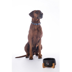 Gamelle pour chien Buddy céramique HKM Noir