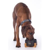 Gamelle pour chien Buddy céramique HKM Noir Gamelle pour chien Buddy céramique HKM Noir