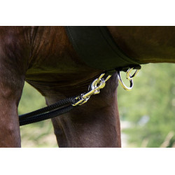 HKM Longeersysteem Zwart HKM Longeersysteem Zwart