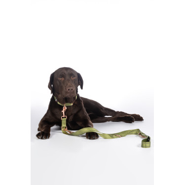 Dressuurlijn voor honden Qooper nylon HKM Pistache Groen
