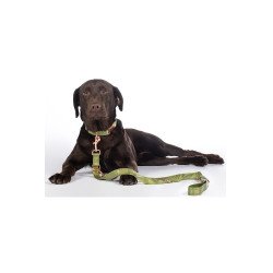 Laisse de dressage pour chiens Qooper nylon HKM Pistache Vert