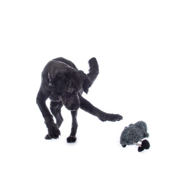 Hondenspeeltje Buddy Sheep HKM Hondenspeeltje Buddy Sheep HKM