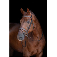 Bridon Lou HKM Bruin Bridon Lou HKM Bruin