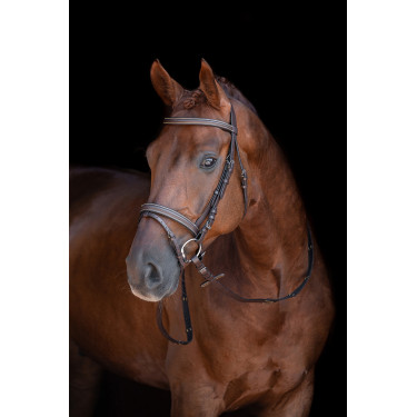 Bridon Lou HKM Marron Bridon Lou HKM Marron