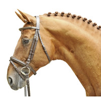 Bridon Lou HKM Bruin Bridon Lou HKM Bruin