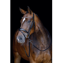 Bridon Melinda HKM Zwart