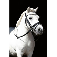 Bridon Shetty Diamond HKM Zwart