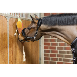 Jouet pour chevaux Ice cream HKM Jouet pour chevaux Ice cream HKM