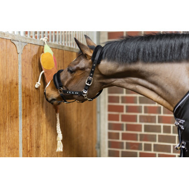 Jouet pour chevaux Ice cream HKM Jouet pour chevaux Ice cream HKM