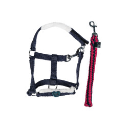 Set de démarrage Cuddle Pony HKM Bleu foncé Set de démarrage Cuddle Pony HKM Bleu foncé