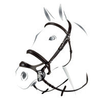 Gecombineerde hoofdstel Equestro Zwart