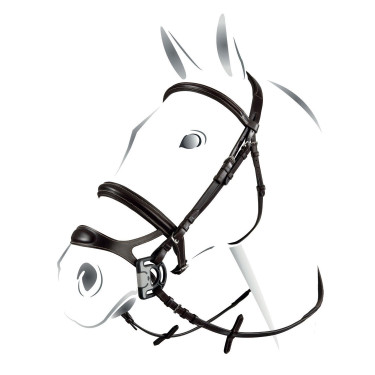 Gecombineerde hoofdstel Equestro