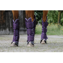 Transportbeschermers Equithème Tyrex 600D Pruim Violet
