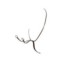 Martingaal met leren halsband Equestro Donkerbruin