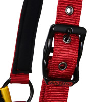 Licol en nylon Flaggy Equestro Marine / blanc / rouge Bleu Licol en nylon Flaggy Equestro Marine / blanc / rouge Bleu