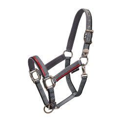 Licol en nylon avec longe Red Trim Equestro Gris / rouge / noir