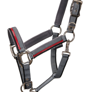 Nylon halster met lijn Red Trim Equestro Grijs / rood / zwart