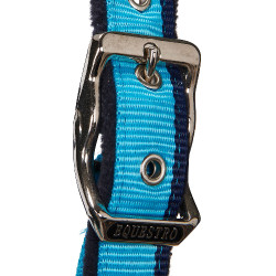 Nylon halster met lijn Red Trim Equestro Turkoois / rood / marineblauw