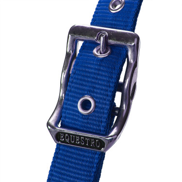 Licol en nylon avec longe et doublure en polaire Equestro Bleu royal Licol en nylon avec longe et doublure en polaire Equestro Bleu royal