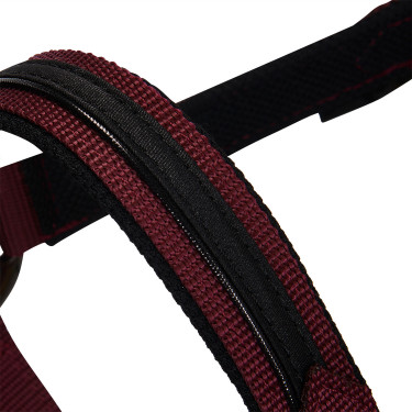 Licol en nylon avec longe Elegance Equestro Licol en nylon avec longe Elegance Equestro