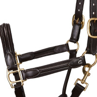 Licol en cuir supérieur Equestro Marron foncé