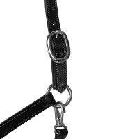 Licol en cuir avec protection ergonomique et muserolle en corde Acavallo Noir Licol en cuir avec protection ergonomique et muserolle en corde Acavallo Noir