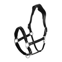 Licol en cuir avec protection ergonomique en veau Acavallo Noir