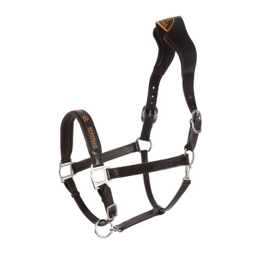Lederen halster met ergonomische kalfslederen bescherming Acavallo Donkerbruin Lederen halster met ergonomische kalfslederen bescherming Acavallo Donkerbruin