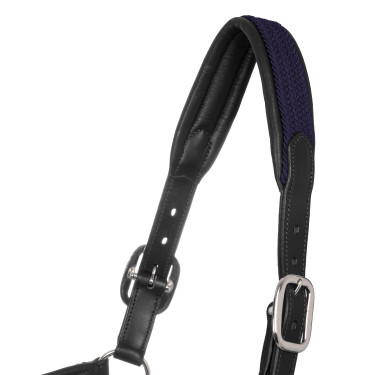 Licol en cuir avec inserts en nylon tressé Equestro Licol en cuir avec inserts en nylon tressé Equestro