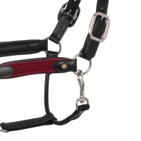 Licol en cuir avec inserts en nylon tressé Equestro Marron / bordeaux Licol en cuir avec inserts en nylon tressé Equestro Marron / bordeaux