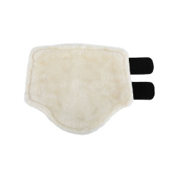 Voorste peesbeschermers van ecologisch leer met dubbele klittenbandsluiting Acavallo Zwart Voorste peesbeschermers van ecologisch leer met dubbele klittenbandsluiting Acavallo Zwart