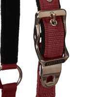 Halster en longe Equestro Zwart