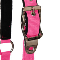 Halster en longe Equestro Zwart