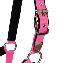 Halster en longe Equestro Fuchsia Roze