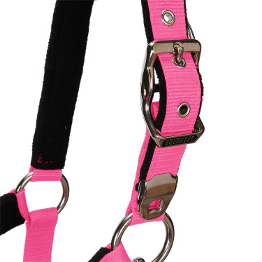 Halster en longe Equestro Fuchsia Roze