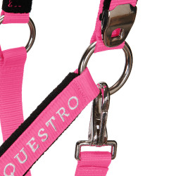Halster en longe Equestro Fuchsia Roze