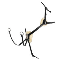Salome 5-punts borsttuig met Magic Equestro-systeem Zwart