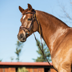 Chambon en cuir de veau italien et nylon Acavallo Marron foncé