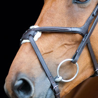 Hoofdstel met kruisneusriem Prescott Horze Zwart Hoofdstel met kruisneusriem Prescott Horze Zwart