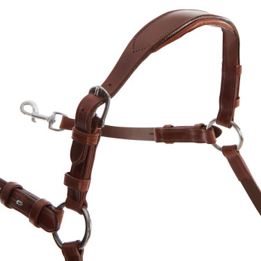 Collier de chasse martingale Acavallo en cuir 5 points Cognac Marron
