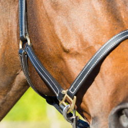 Leren halster Fremont Horze Leren halster Fremont Horze