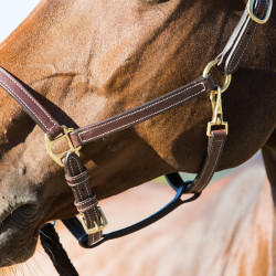 Leren halster Fremont Horze Leren halster Fremont Horze