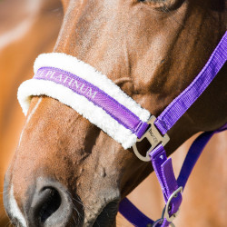 Licol Howard Crescendo Horze Violet