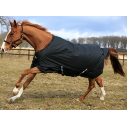 Couverture RugBe IceProtect 200