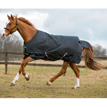 Dekken RugBe IceProtect 200 Covalliero Dekken RugBe IceProtect 200 Covalliero