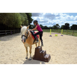 Montoir Easy Step 3 treden La Gée Chocolade Bruin