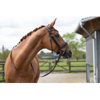 Bridon Ira HKM Marron Bridon Ira HKM Marron