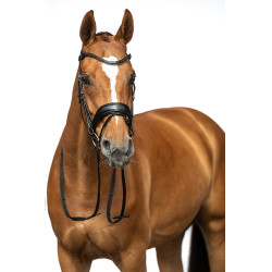 Bridon Ira HKM Zwart